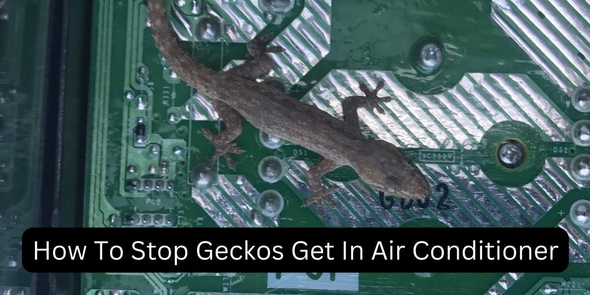 How To Stop Geckos Get In Air Conditioner