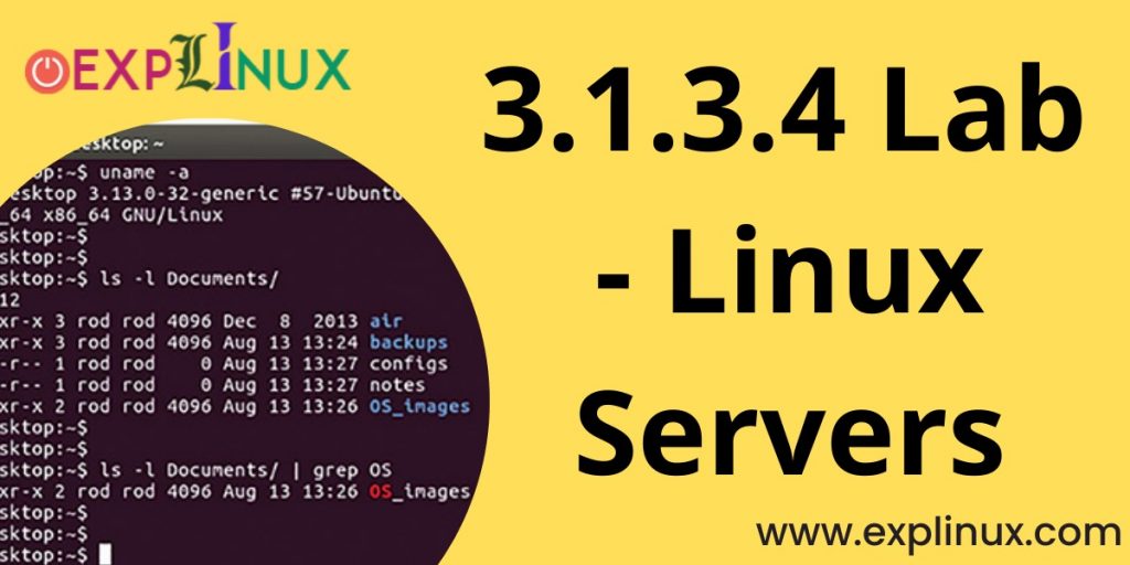 3.1.3.4 Lab - Linux Servers